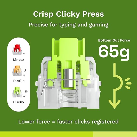 Glorious Gaming - Raptor Clicky Switches (36 PCS), Magnetic Switches for HE Hotswap Mechanical Keyboards - Desert Games