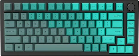 Glorious GPBT Dye Sublimated Keycaps - Rain Forest GLO-KC-GPBT-RF - Desert Games