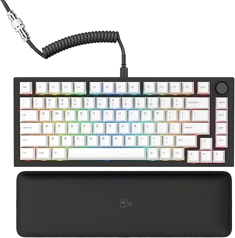 Glorious GMMK PRO 75% Modular Mechanical Gaming Keyboard TKL, Fox Switches, Coiled Cable, Wrist Rest, PBT Keycaps - Black GLO-GMMK-P75-FOX-B - Desert Games