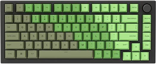 Glorious GPBT Dye Sublimated Keycaps - Olive  GLO-KC-GPBT-O - Desert Games